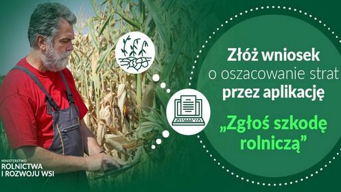 Zgłaszanie szkód spowodowanych zjawiskiem suszy w 2023 roku